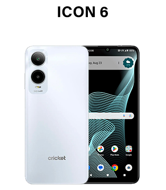 Icon 6 (Cricket)